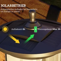 Solar Gartenlaterne schwarz Kunststoff B/H/L: ca. 17x127x17 cm