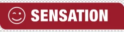Solarleuchte Edelstahloptik Glas Kunststoff H/D: ca. 38x8 cm