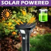 Solar-Wegeleuchte schwarz