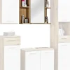 Spiegelschrank Bergen Eiche Artisan Nachbildung B/H/T: ca. 70x74x23 cm