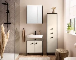 Spiegelschrank Edda creme B/H/T: ca. 63,5x72,4x17,5 cm