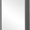Spiegelschrank Flag anthrazit B/H/T: ca. 43,5x64x16 cm