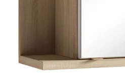 Spiegelschrank NEBRASKA Eiche Nachbildung B/H/T: ca. 60x70x25 cm