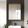 Spiegelschrank Scout Eiche Artisan Nachbildung salbei Nachbildung B/H/T: ca. 60x79x18 cm