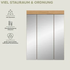 Spiegelschrank Scout Eiche Artisan Nachbildung salbei Nachbildung B/H/T: ca. 60x79x18 cm