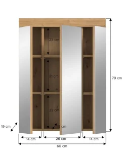 Spiegelschrank Scout Eiche Artisan Nachbildung salbei Nachbildung B/H/T: ca. 60x79x18 cm