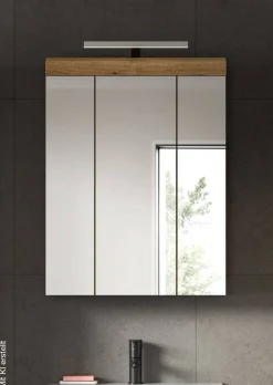 Spiegelschrank Scout Evoke Oak Nachbildung Spiegel B/H/T: ca. 60x79x18 cm