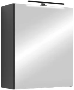 Spiegelschrank SPREE anthrazit B/H/T: ca. 50x60x15 cm
