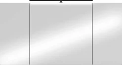 Spiegelschrank SPREE anthrazit B/H/T: ca. 120x60x15 cm