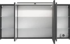 Spiegelschrank SPREE anthrazit B/H/T: ca. 120x60x15 cm