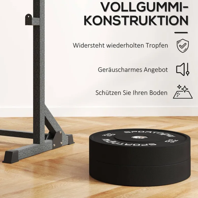 SPORTNOW Hantelscheiben