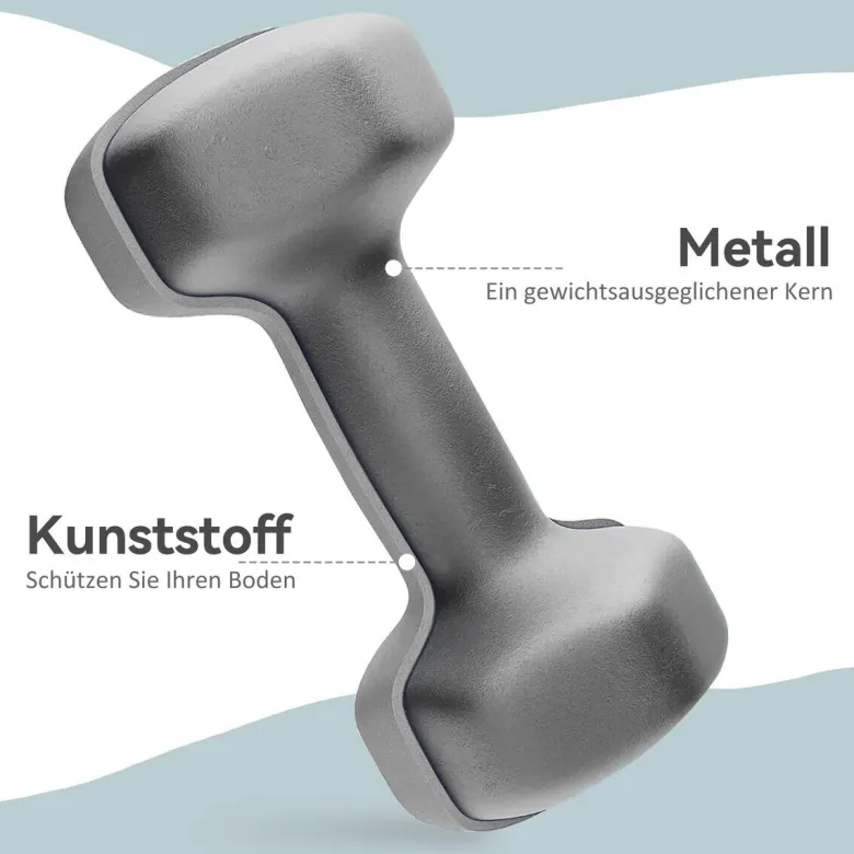 SPORTNOW Kurzhantel grau Kunststoff B/H/L: ca. 10x10x22 cm