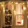 Star-Max LED-Lichterkette