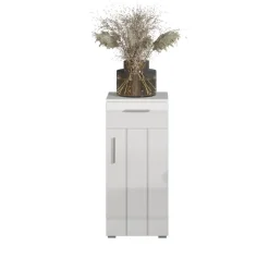 Stauraumelement Wons weiß Hochglanz weiß matt B/H/T: ca. 37x83x31 cm