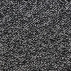 Stufenmatte Astra anthrazit B/L: ca. 28x65 cm