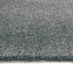 Teppichboden Euphoria anthrazit B: ca. 400 cm pro m²