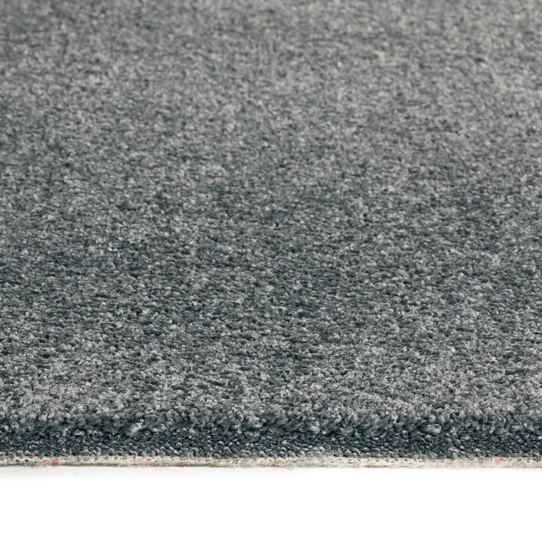 Teppichboden Euphoria anthrazit B: ca. 400 cm pro m²