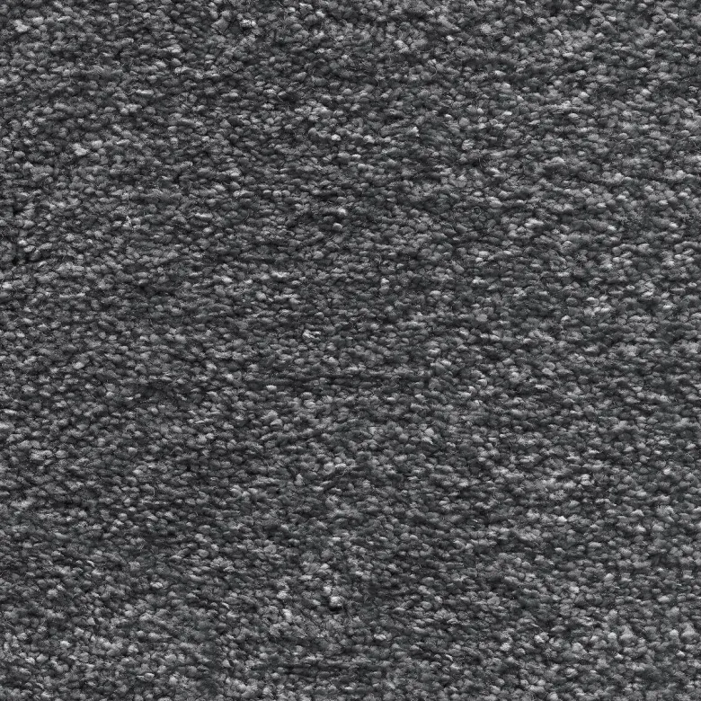 Teppichboden Euphoria anthrazit B: ca. 400 cm pro m²