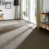 Teppichboden Sara braungrau B/L: ca. 200x400 cm pro Stück