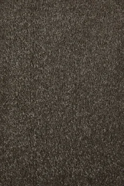 Teppichboden Sara braungrau B/L: ca. 200x400 cm pro Stück