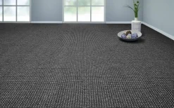 Teppichboden Zembla anthrazit B: ca. 500 cm pro m²