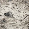 Teppich Dorado grau B/L: ca. 160x230 cm
