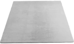 Teppich Joy silber B/L: ca. 160x220 cm