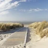 The Wall Keilrahmenbild Sea Breeze B/L: ca. 76x116 cm
