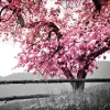 The Wall Wandbild Baum B/L: ca. 58x90 cm