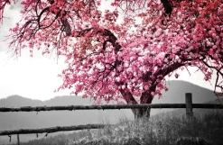 The Wall Wandbild Baum B/L: ca. 58x90 cm