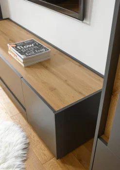 TV-Lowboard City Eiche Wotan Nachbildung anthrazit B/H/T: ca. 170x40x45 cm