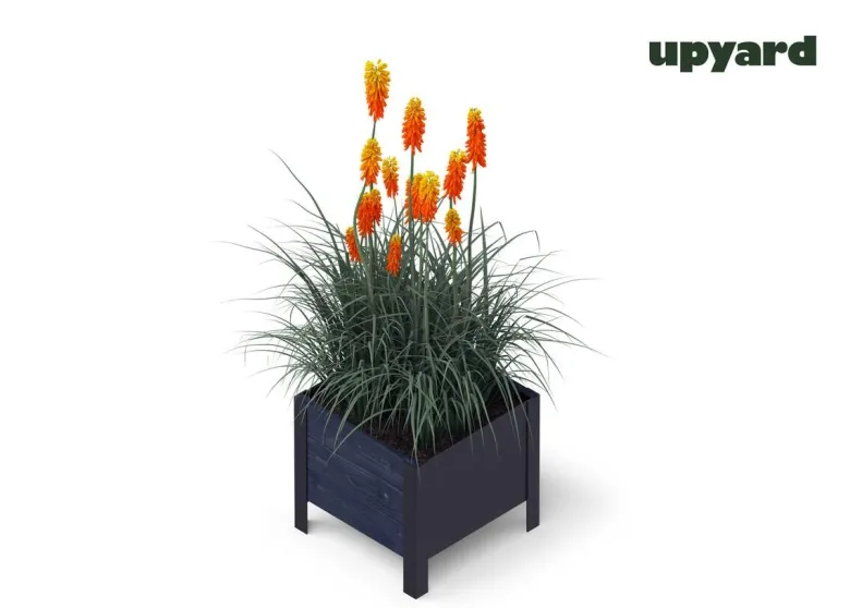 UPYARD Hochbeet MODERN schwarz Holz B/H/L: ca. 36x32x36 cm