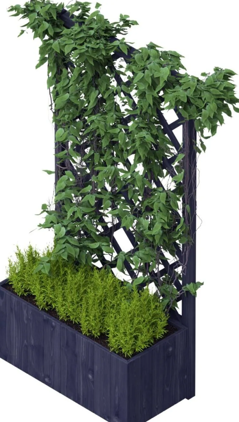 UPYARD Pflanzkasten CLASSIC schwarz Holz B/H/L: ca. 40x160x80 cm
