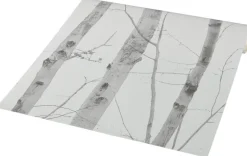 Vliestapete Birkenwald grau creme B/L: ca. 53x1005 cm