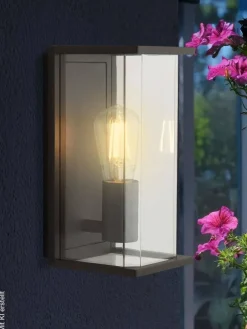 Wandaußenleuchte klar dunkelgrau B/H/T: ca. 13x27x15 cm