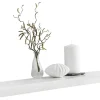 Wandboard Shelvy 80 B/H/T: ca. 80x4x24 cm