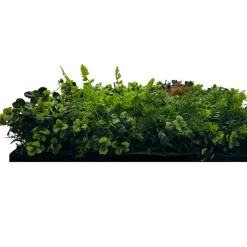 Wand- und Akustikpaneel grün L/B/H: ca. 52x52x0,4 cm pro Stück