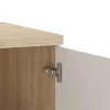 Waschbeckenunterschrank NEBRASKA Eiche Nachbildung weiß Lack Hochglanz silber B/H/T: ca. 60x59x31,5 cm