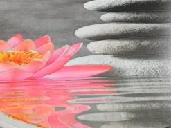 WENKO WC-Sitz Water Lily Thermoplast