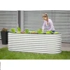 Westmann Hochbeet Oval silber Metall B/H/L: ca. 80x82x240 cm
