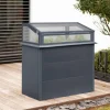 Westmann Hochbeet Primus anthrazit Stahl B/H/L: ca. 100x113x50 cm