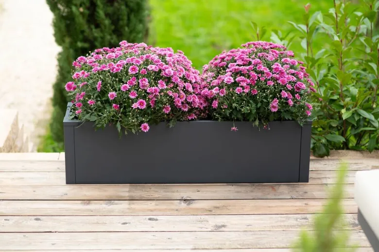 Westmann Pflanzkasten Talus anthrazit Metall B/H/L: ca. 100x27x25 cm