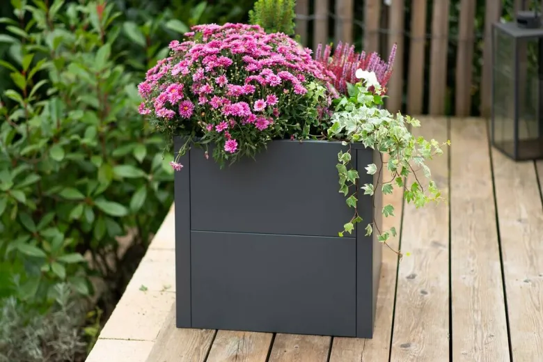Westmann Pflanzkasten Talus anthrazit Metall B/H/L: ca. 50x50x50 cm