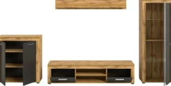 Wohnwand Jam Eiche Wotan Nachbildung grau B/H/T: ca. 330x159x35 cm